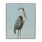 Stupell Industries Coastal Pelican Muted Blue Framed Giclee, design by Julie DeRice